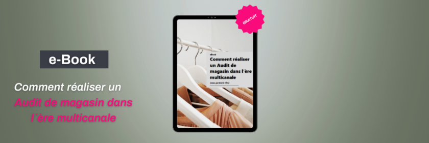 Audit FR